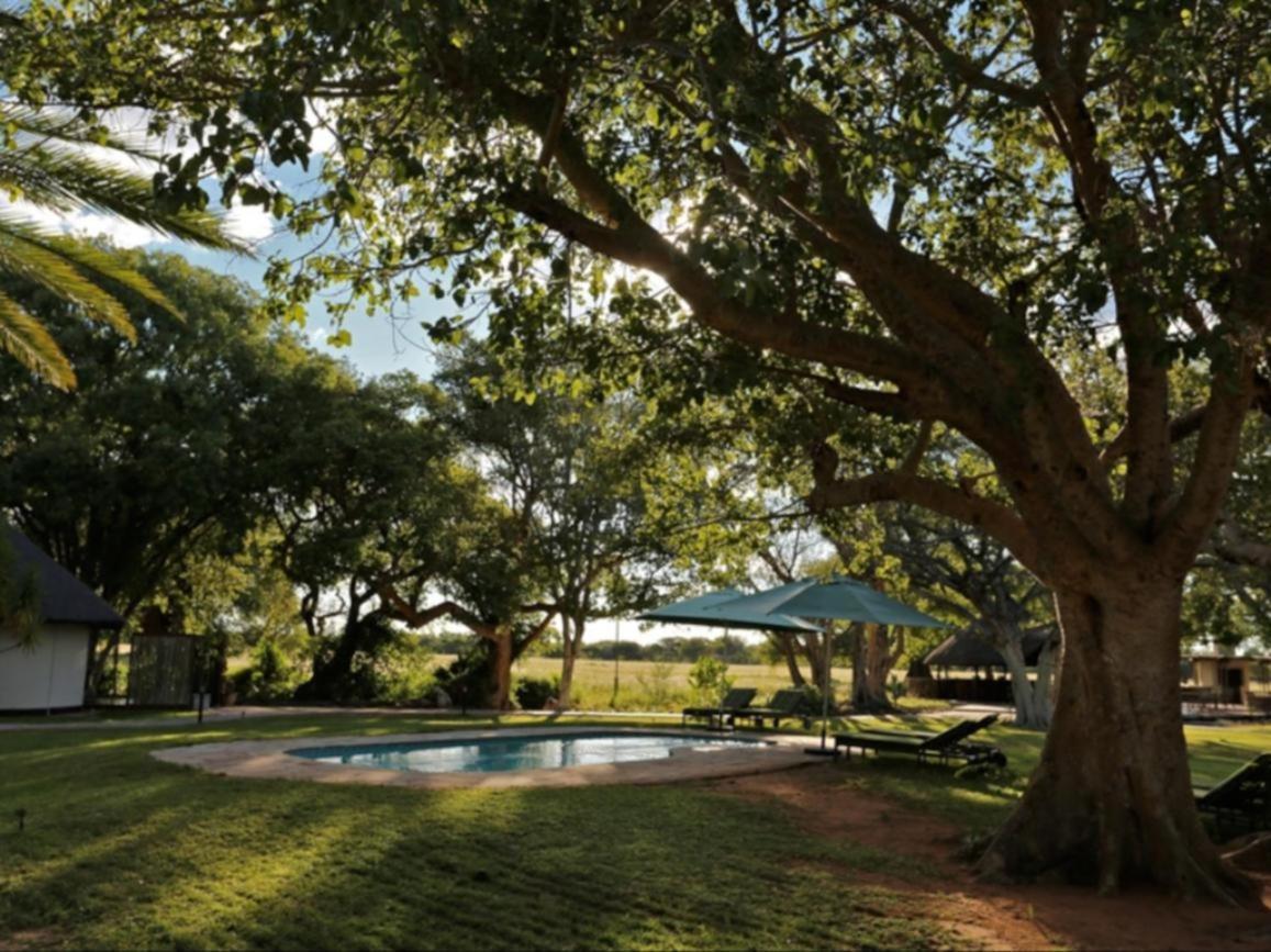 La Rochelle Lodge Namibia Tsumeb Eksteriør bilde